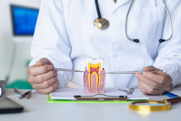 Best Emergency Denture Repair in Hudson Falls, NY